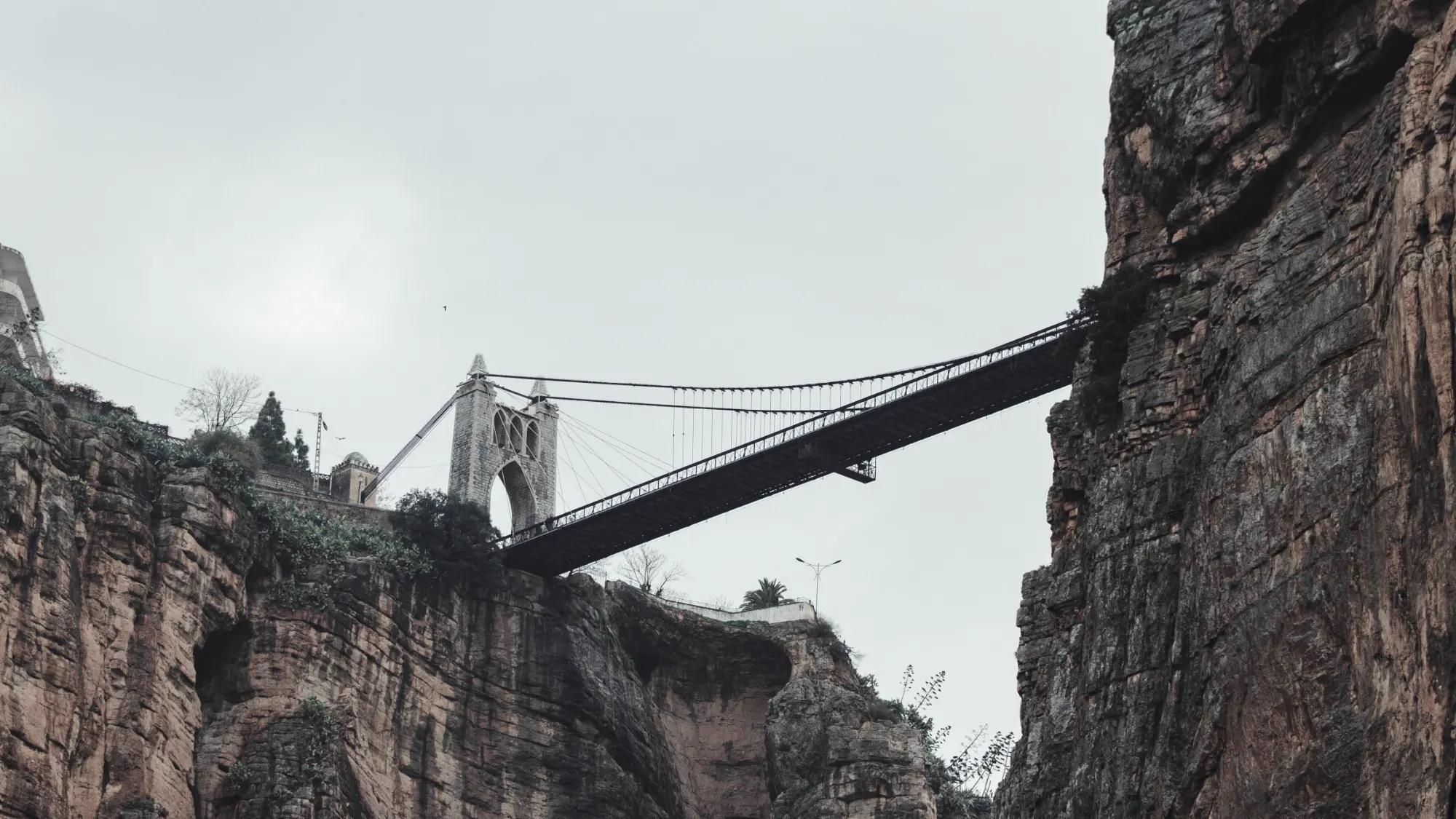 Suspension bridge seen from the bottom of the gorge