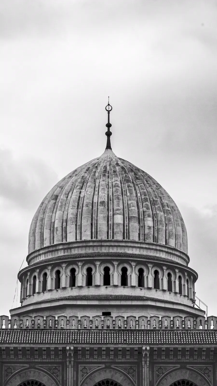 Ribbed dome of the Emir Abdelkader Mosque